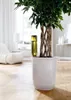 Watering cones "Hydro Wine" set of 4 Anteprima dell’immagine prodotto 8