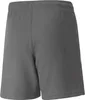 Puma Teamliga Shorts Kinder - Grau Produktbild-Vorschau 15