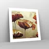 Poster - Poster ohne Rahmen - Mohn Blume Wiese - 40x40 cm - Produktbild-Vorschau 7