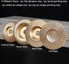 Four different grinding discs are displayed on a light gray surface with a black background. Produktbild-Vorschau