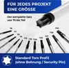 A collection of Torx bits is displayed with size labels. Anteprima dell’immagine prodotto