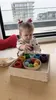 Giocattolo in legno Ulanik Montessori "Arcobaleno: palline Anteprima dell’immagine prodotto 14