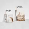 MURALO SET OBRAZŮ DO OBÝVACÍHO POKOJE SEASIDE BEACH PLANTS Náhled obrázku produktu 8