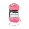 Schachenmayr Catania Grande 50g 3213 Pletací příze Náhled obrázku produktu 1