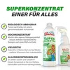 Pastaclean Super Konzentrat - Kraftvoller Allzweckreiniger Produktbild-Vorschau 2