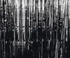 Rideau de fête - noir - 250 cm Voir les images du produit 1