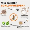 Schlupfwespen gegen Lebensmittelmotten - (4 Karten á 1 Produktbild-Vorschau 3