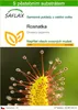 SAFLAX - rosnatka - Drosera capensis - 200 Semena - S Náhled obrázku produktu 1