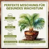 Green Home Grünpflanzen- & Palmenerde 72 L – für Palmen, Produktbild-Vorschau 4