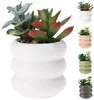 Sztuczna roślina w ceramicznej doniczce 14 cm Podgląd zdjęcia produktu 2