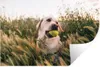 MuchoWow® Wandtattoo Wandsticker Wandaufkleber Labrador Produktbild-Vorschau 1