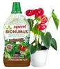 Biohumus Flüssigdünger für Zimmerpflanzen 1l Produktbild-Vorschau 2