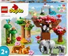 Divoká zvířata Asie Náhled obrázku produktu 4