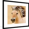 MuchoWow® Gerahmtes Poster Pferde - Tiere - Mähne - Porträt Produktbild-Vorschau 1