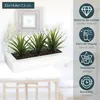 Atmosphera créateur d'intérieur umìlá aloe vera 3 kusy. Náhled obrázku produktu 5