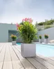 Lechuza Canto Stone plastový květináč 30x30x30 cm šedý Náhled obrázku produktu 5