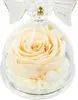 Schutzengel Ewige Rose im Glas als Geschenk Produktbild-Vorschau 4