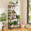 A multi-tiered plant stand filled with various potted plants, placed indoors near a window. Voir les images du produit