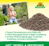 Neudorff  - Azet Beeren- & ObstDünger 2,5 kg mit extra Produktbild-Vorschau 4