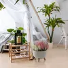 Květináč kulatá mísa na nožičkách 47 cm Antracitová Náhled obrázku produktu 6