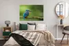 MuchoWow® Poster Eisvogel - Zweig - Moos - Vogel - Grün Produktbild-Vorschau 4