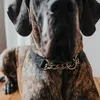Hunter Halsband mit Kette Aalborg schwarz, Größe:M, Produktbild-Vorschau 4
