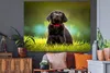 MuchoWow® - Selbstklebend - Fototapeten Produktbild-Vorschau 3