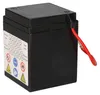 Batteria AGM SLA 6V 4Ah per moto Batteria di avviamento MS Anteprima dell’immagine prodotto 7