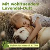 bio-chem Enzymreiniger Konzentrat 1000 ml inkl. Spray Produktbild-Vorschau 5