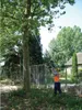 A person is using a long pole saw to trim branches from a tree in a residential area. Náhled obrázku produktu
