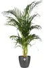 Blumentopf Elho Brussels Kunststoff Ø 14 cm H 12 cm Produktbild-Vorschau 1
