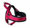 Hunter 46366, Hund, Zuggeschirr, L, Schwarz, Rot, Nylon, Produktbild-Vorschau 13