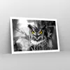 Poster - Poster ohne Rahmen - Eule Vogel Natur - 91,5x61 cm Produktbild-Vorschau 7