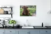 MuchoWow® Poster Schottisches Hochlandrind - Kröte - Tiere Produktbild-Vorschau 3