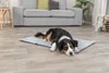 TRIXIE Reisedecke Amy - grau - 70 × 50 cm Produktbild-Vorschau 6