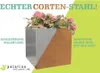 Pflanzkübel Palatino Clara Corten-Stahl 80 x 80 x 50 cm Produktbild-Vorschau 3