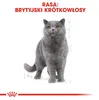 ROYAL CANIN FBN British Shorthair Adult Trockenfutter für Produktbild-Vorschau 6