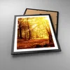 Gerahmtes Poster - Schwarzer Rahmen - Wald Baum Natur - Produktbild-Vorschau 3