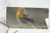 MuchoWow® Mauspad Mousepad Rotkehlchen - Wasser - Moos Produktbild-Vorschau 5