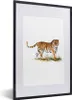 MuchoWow® MuchoWow® Gerahmtes Poster Tiger - Weiß - Bild Produktbild-Vorschau 1