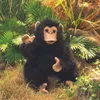 Folkmanis 2877, Handpuppe, Tier, 1 Stück(e) Produktbild-Vorschau 6