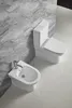 Aqualine JALTA Kombi-WC, Rimless, Senkrecht/Waagerecht Produktbild-Vorschau 6