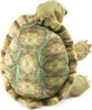Folkmanis stehende Schildkröte Produktbild-Vorschau 3