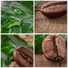 Bild auf Leinwand - Leinwandbild - Aroma Kaffee Pflanze Produktbild-Vorschau 8
