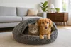 A cat and a dog are resting together in a cozy pet bed in a living room. Produktbild-Vorschau