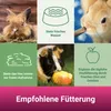 PANTO Premiumheu 1kg - Nagerfutter, für Kaninchen, Produktbild-Vorschau 4