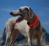 LED Hundehalsband – Leuchthalsband für Hunde, Produktbild-Vorschau 2