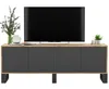 Loft TV-Schrank TV-Lowboard Apollo 2 Viertürig Drei Produktbild-Vorschau 2