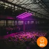 LED Pflanzenlampe 90W Vollspektrum mit 4 Köpfen, Produktbild-Vorschau 3