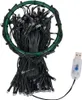 A bundle of black string lights coiled around a green hoop, with a USB connector visible. Náhled obrázku produktu